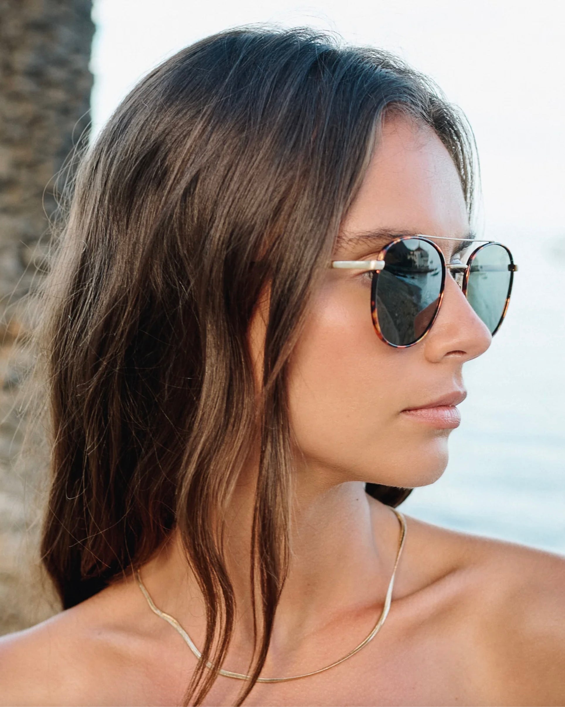 Easton Sunglasses